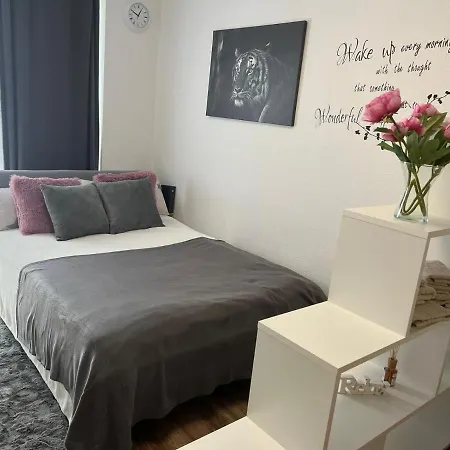 Business Appartement In Mainz Bretzenheim Esterno foto