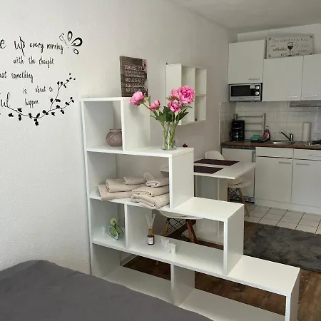 Business Appartement In Mainz Bretzenheim Esterno foto